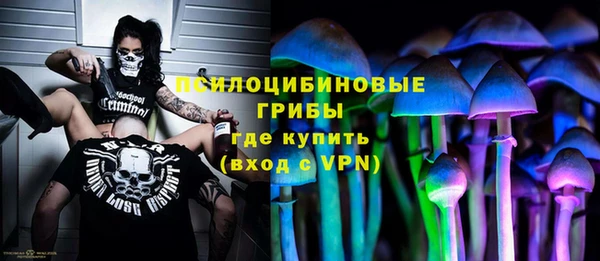 МДПВ Аркадак