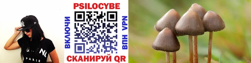 Галлюциногенные грибы Psilocybe Михайлов